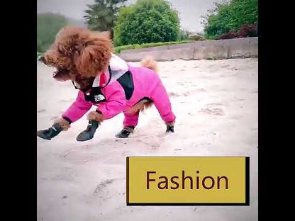 The Dog Face Raincoat for Dogs