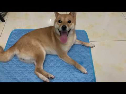 Summer Cooling Pad Mat for Dogs